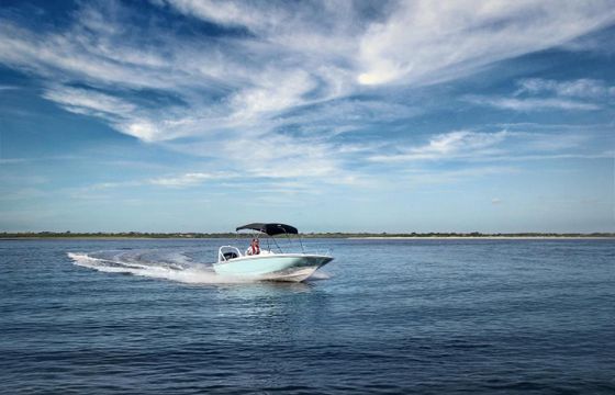 Boston Whaler 160 Super Sport