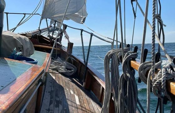 Galeas 35