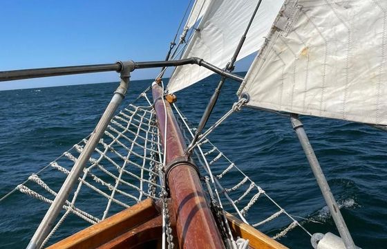 Galeas 35