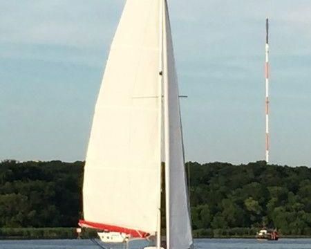 ODYS 28