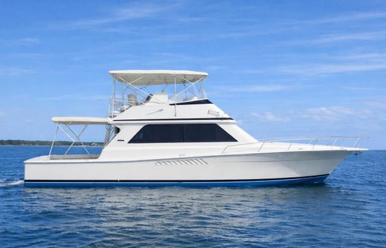 Viking 50 Convertible Sport Fisher