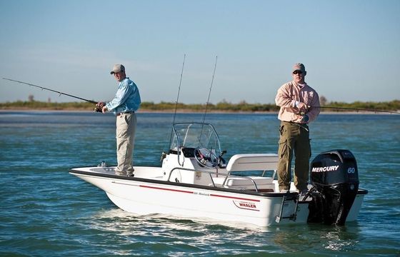 Boston Whaler 150 Montauk