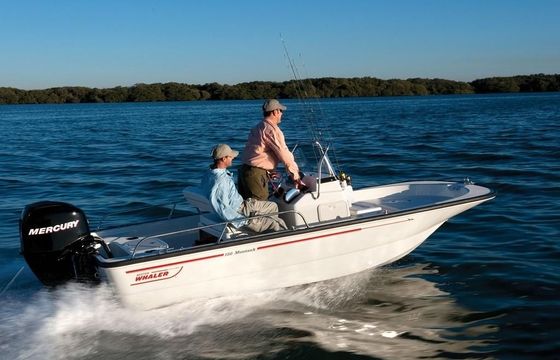 Boston Whaler 150 Montauk