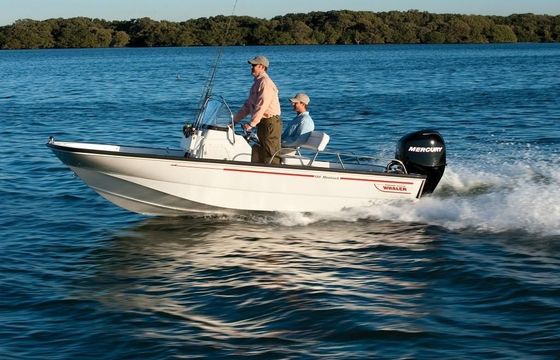 Boston Whaler 150 Montauk
