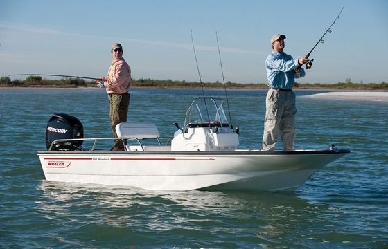 Boston Whaler 150 Montauk