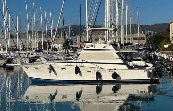 Viking 40