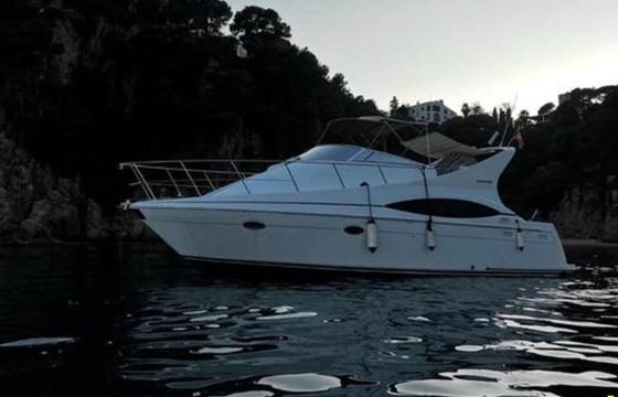Carver Mariner 350