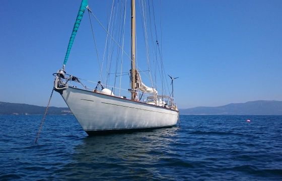 Van de Stadt Gallant 53