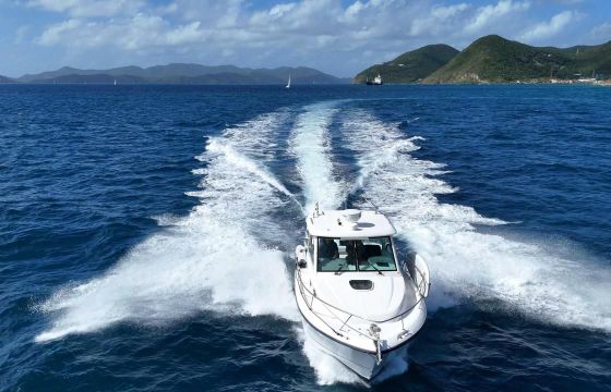 Boston Whaler Conquest 315