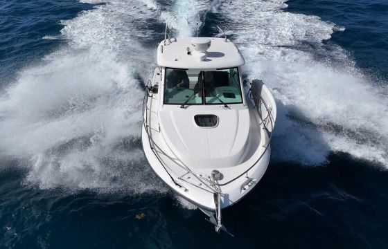 Boston Whaler Conquest 315