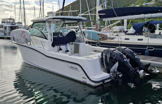 Boston Whaler Conquest 315
