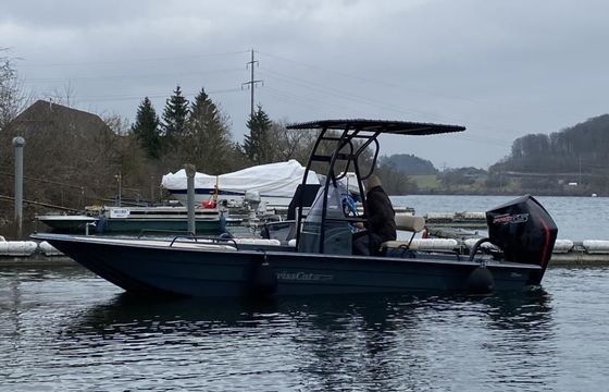 Swiss Cat 21