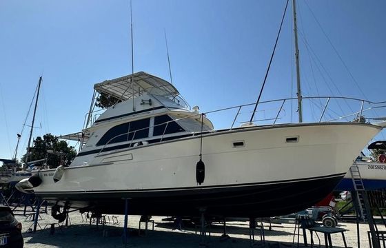Bertram Yacht Bertram 46.6