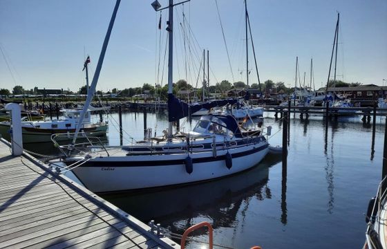 Zaadnoordijk Compromis 888