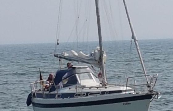 Zaadnoordijk Compromis 888