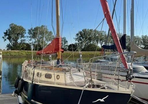 Blauwvoet Custom Steel 10 Meter