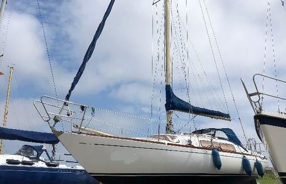 Mistral Sirocco 31