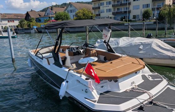 Glastron GTD 225