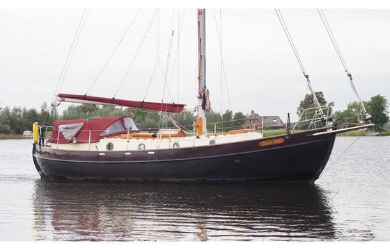 Danish Rose 33