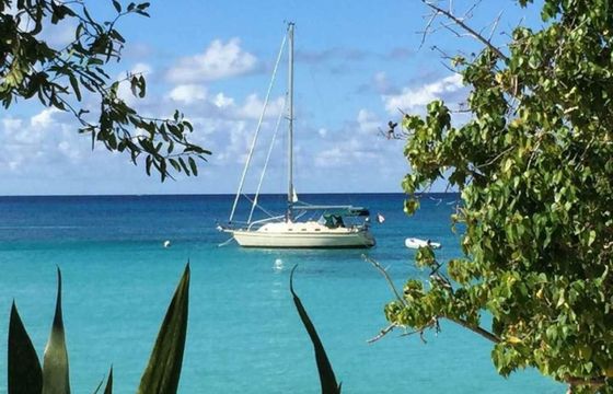 Island Packet 370