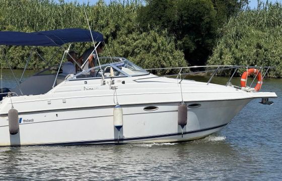 Wellcraft 243 Prima