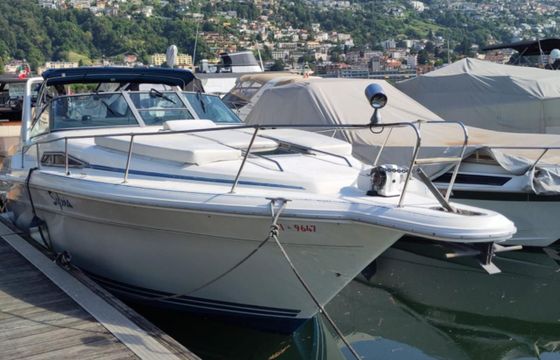 Sea Ray 310 DA