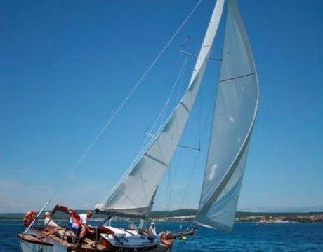 Enavigo 43 Cutter
