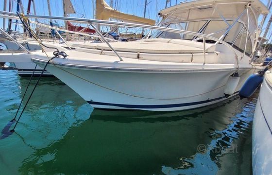 Luhrs 28