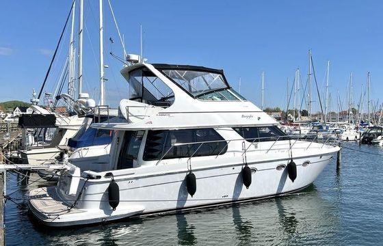 Carver 450