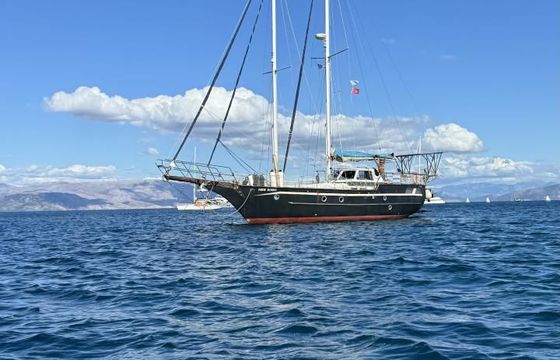 Pirat 53