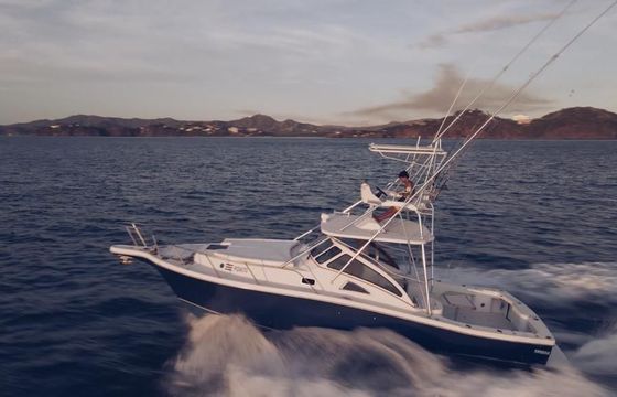 Apex Yachts Quepos 350