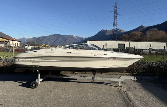 Campion Allante 565