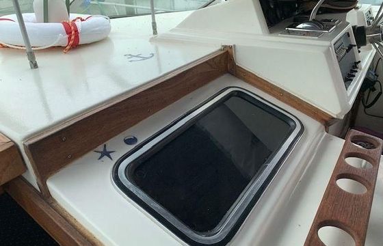 Sea Ray 34