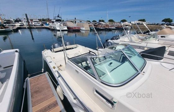 Kelt WHITE SHARK 236