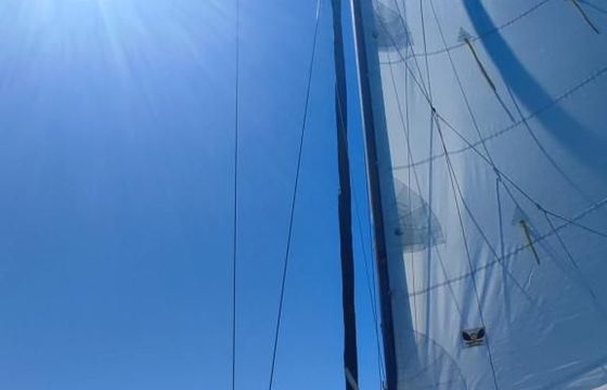 Kalik/Lewin Kalik 30