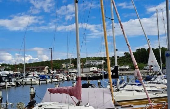Albin Accent 26