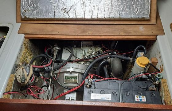 Albin Accent 26