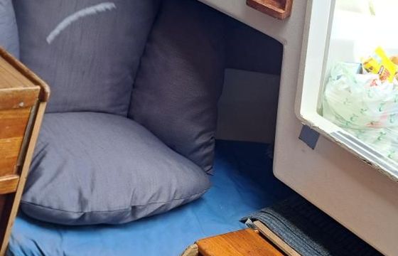 Albin Accent 26