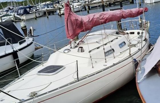 Albin Accent 26