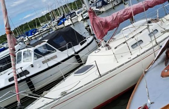 Albin Accent 26