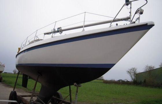 Neptun 31