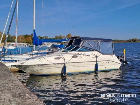 Sea Ray 255 DAE