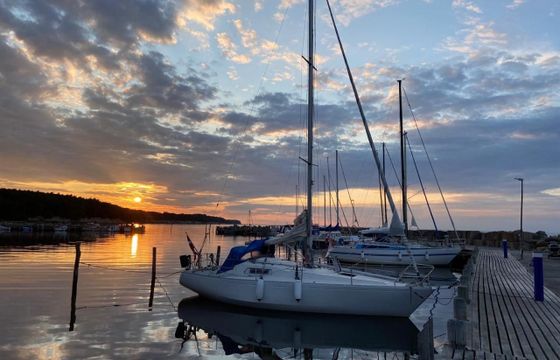 Albin Scampi 30 Special