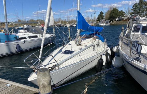 Albin Scampi 30 Special