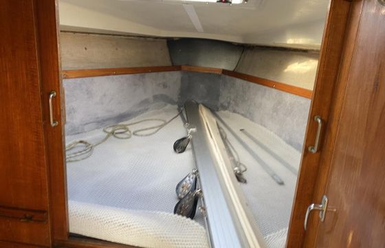 Albin Scampi 30 Special