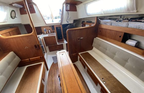 Albin Scampi 30 Special