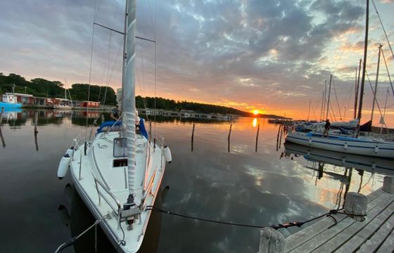 Albin Scampi 30 Special