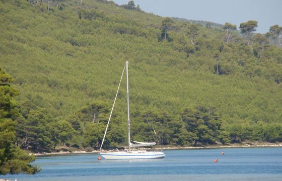 Northwind Marine Northwind 38