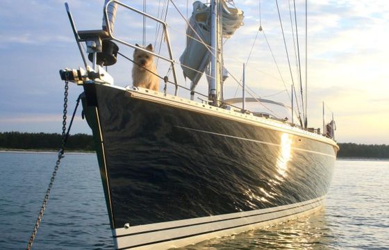 Hanse 411
