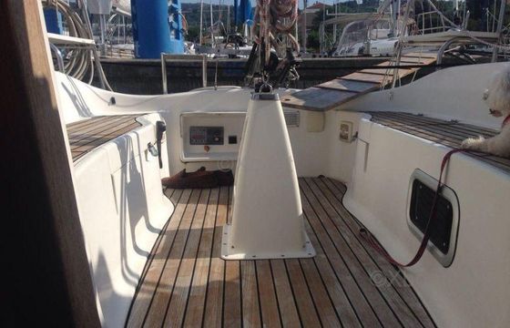 Delphia 29